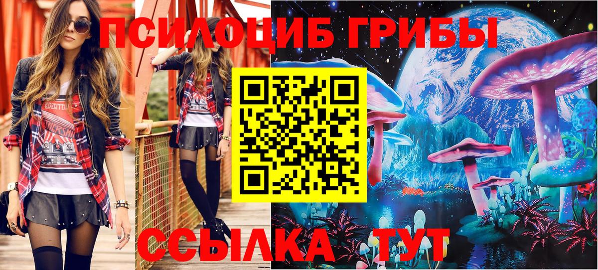 Псилоцибиновые грибы GOLDEN TEACHER  даркнет сайт  Апшеронск  Вход с VPN 